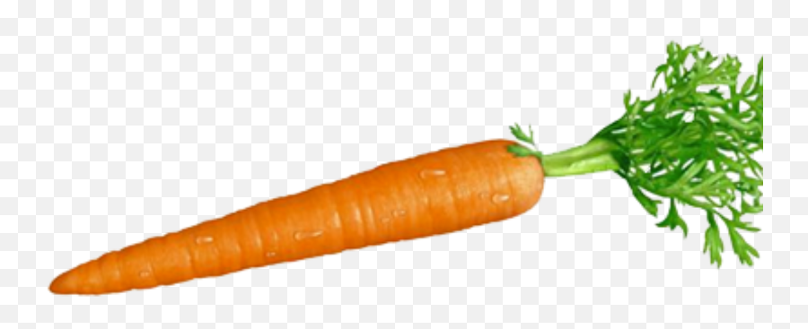 Free Transparent Carrot Png Download - Transparent Carrot Emoji,Carrot Emoji