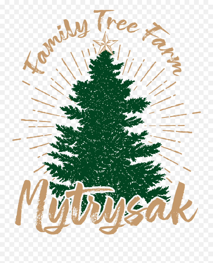 Mytrysak Family Tree Farm Cut - Yourown Tree Indiana Pa Family Owned Christmas Tree Farms Emoji,Pine Tree Emoji