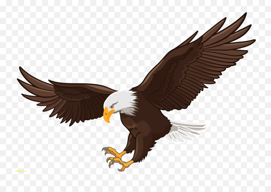 Eagle Stocks Clipart 421825 - Bald Eagle Clipart Png Emoji,Bald Eagle Emoji