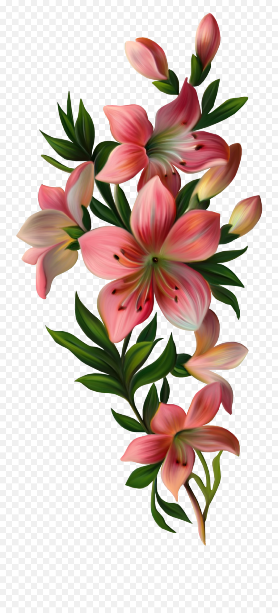 Mq Pink Lily Flowers Flower Garden - Flowers With Leaves Png Emoji,Lily Flower Emoji