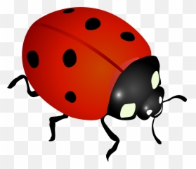 Ladybug Clipart Ladybug Transparent Free For Download Emoji,Ladybug Emoji