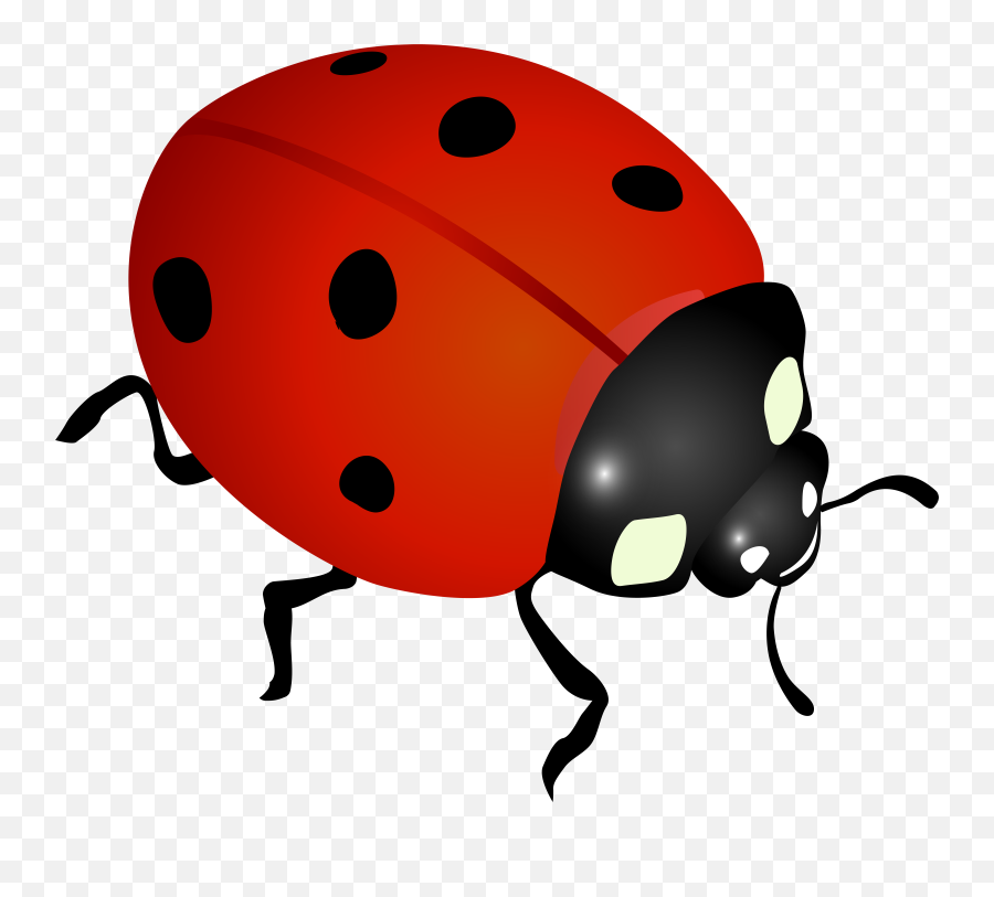 Ladybug Clipart Ladybug Transparent Free For Download Emoji,Ladybug Emoji