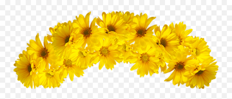 Emoji Emojis Tumblr Instagram Insta - Transparent Yellow Flower Crown,Lei Emoji
