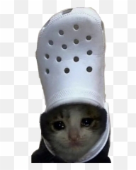 To - Crying Cat Meme Emoji