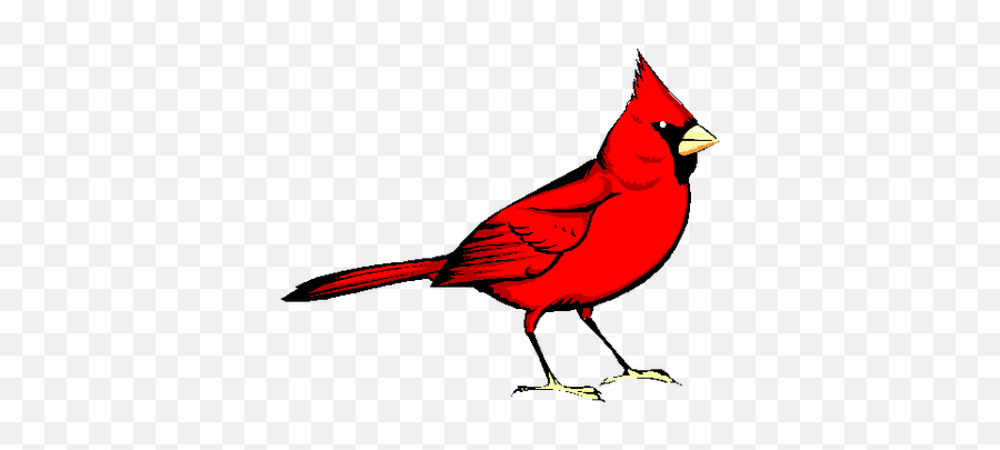 Cardinal Clipart Logo Cardinal Logo Transparent Free For - Clip Art Cardinal Bird Emoji,Cardinals Emoji