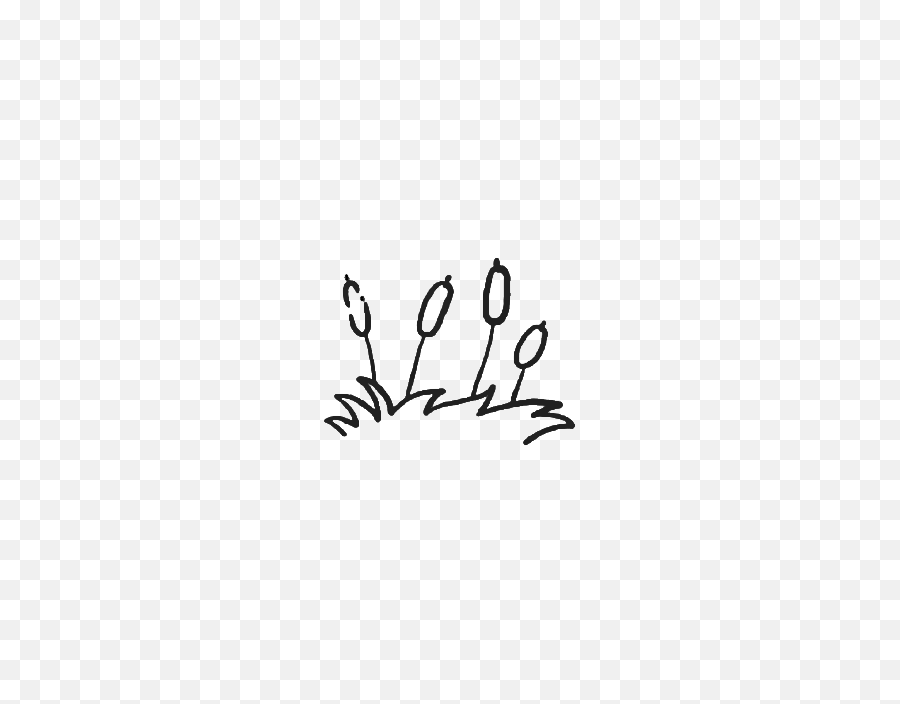 Illustration Of Plant Png Emoji,Camera