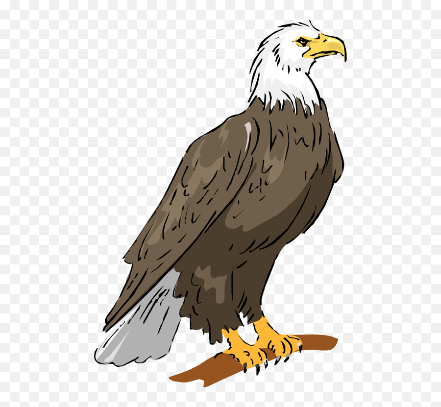 Bald Eagle Eagle Clipart - Clipart Of A Eagle Emoji,Bald Eagle Emoji