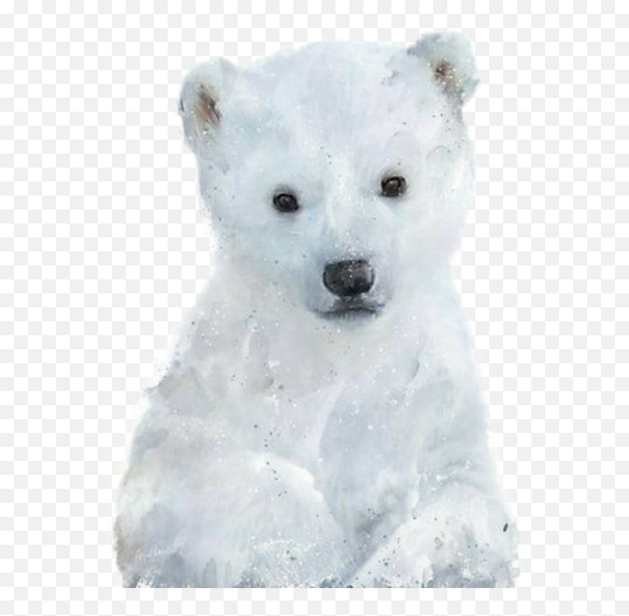 Baby Bear - Polar Bear Emoji,Polar Bear Emoji