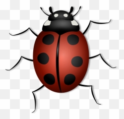 Lienka - Animals Have 6 Legs Emoji,Ladybug Emoji