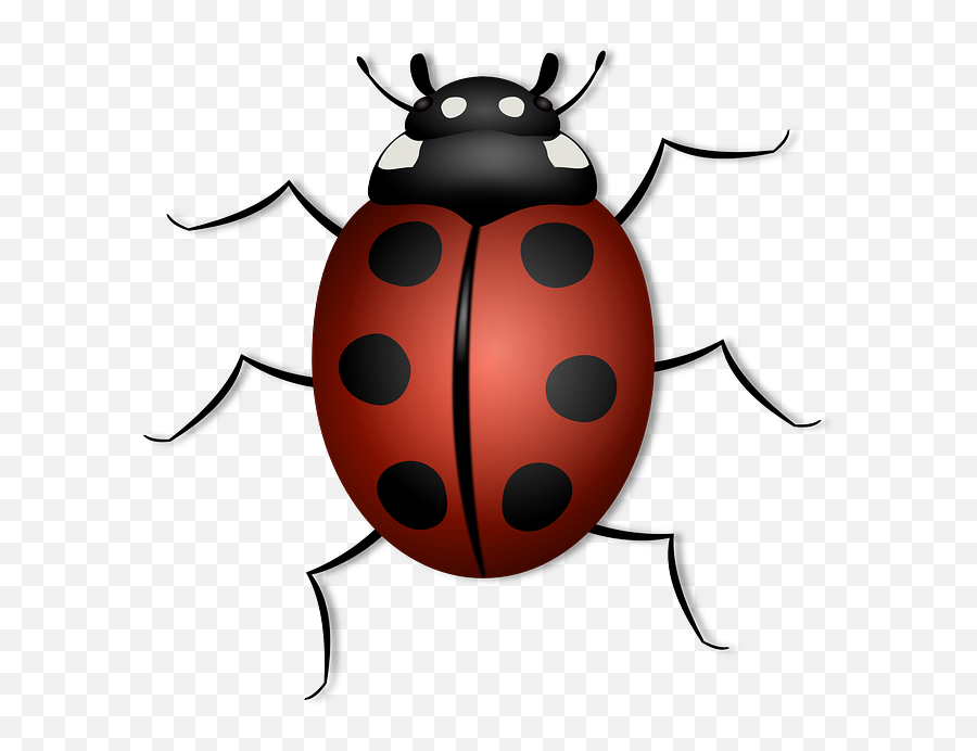 Lienka - Animals Have 6 Legs Emoji,Ladybug Emoji