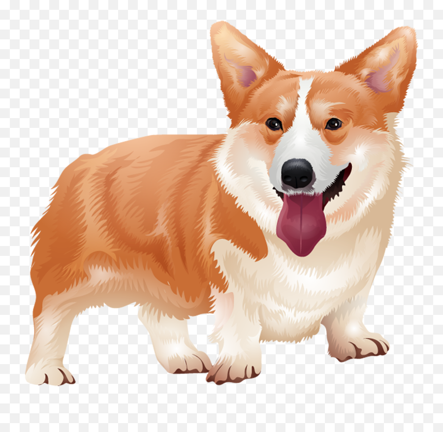 Dogs Vector Corgi Picture - Animalden T Shirt Emoji,Corgi Emoticon