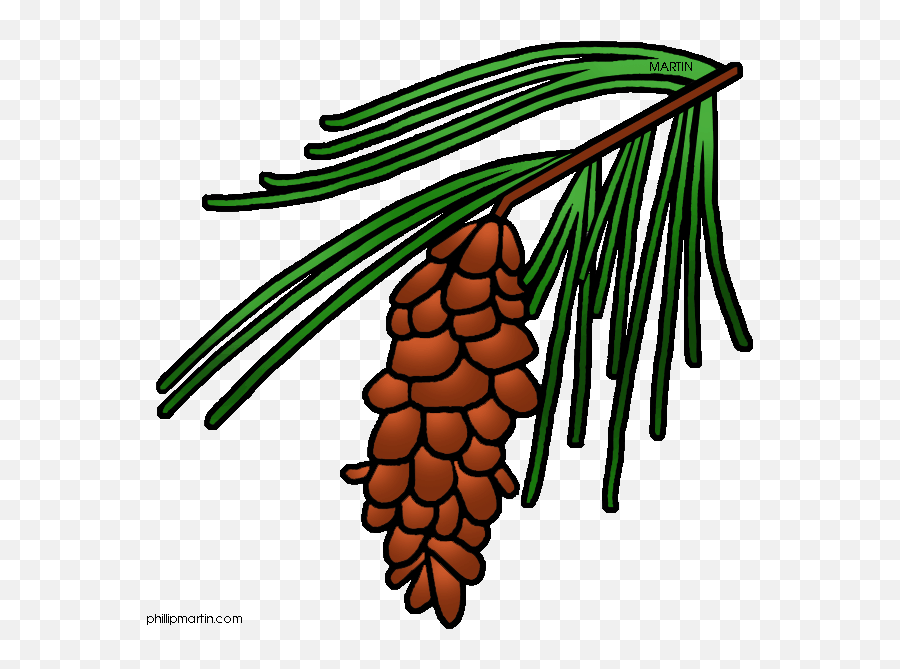 Pinecone Clipart Greens Pinecone - State Flower For Maine Emoji,Pinecone Emoji
