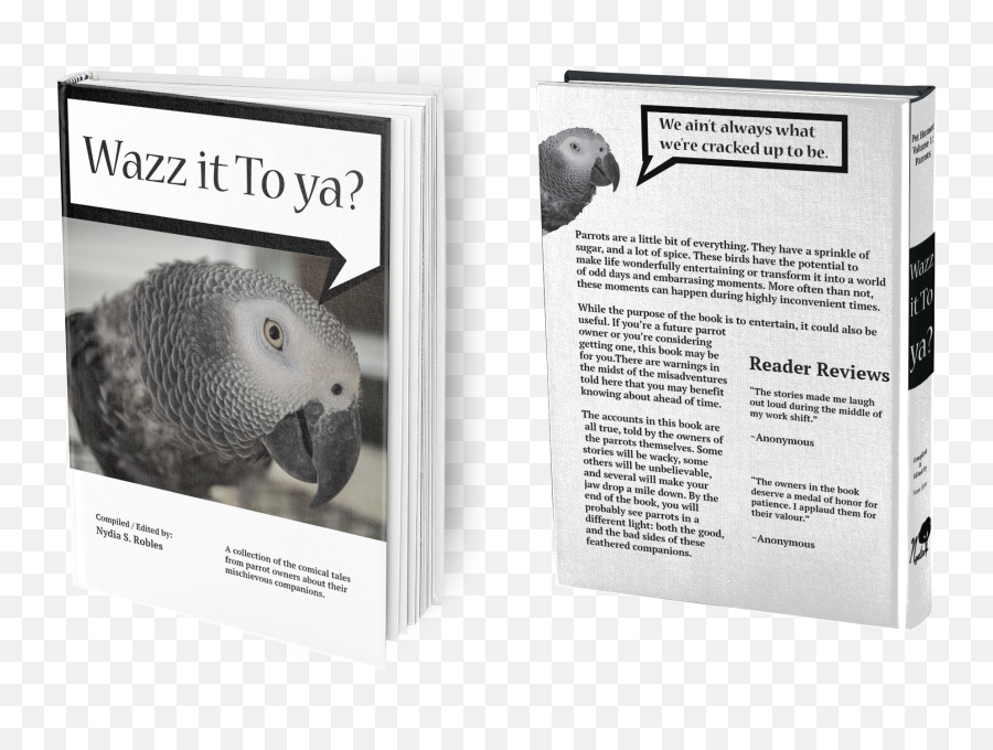 Nydia S Robles Graphic Designer - Grey Parrot Emoji,Mischievous Emoji