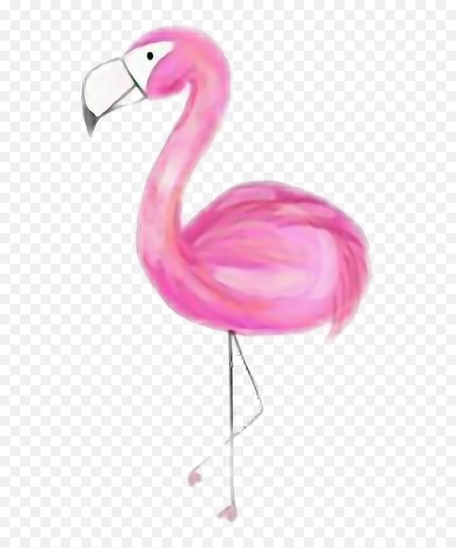 Beach Summer Pink Flamingos Flamingo - Greater Flamingo Emoji,Pink Flamingo Emoji