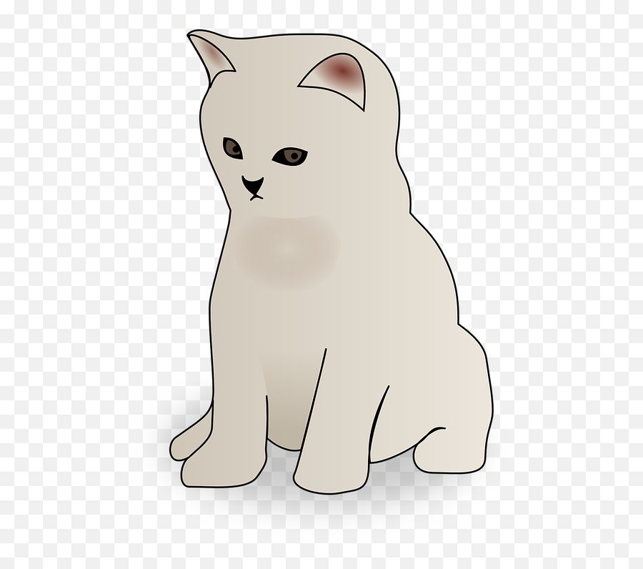 Cat White Animal - Clip Art Of Kitten Emoji,Cat Emoticons Text