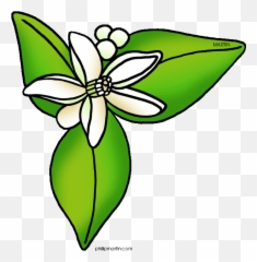 Clip Art Florida 3 - Orange Blossom Flower Cartoon Emoji