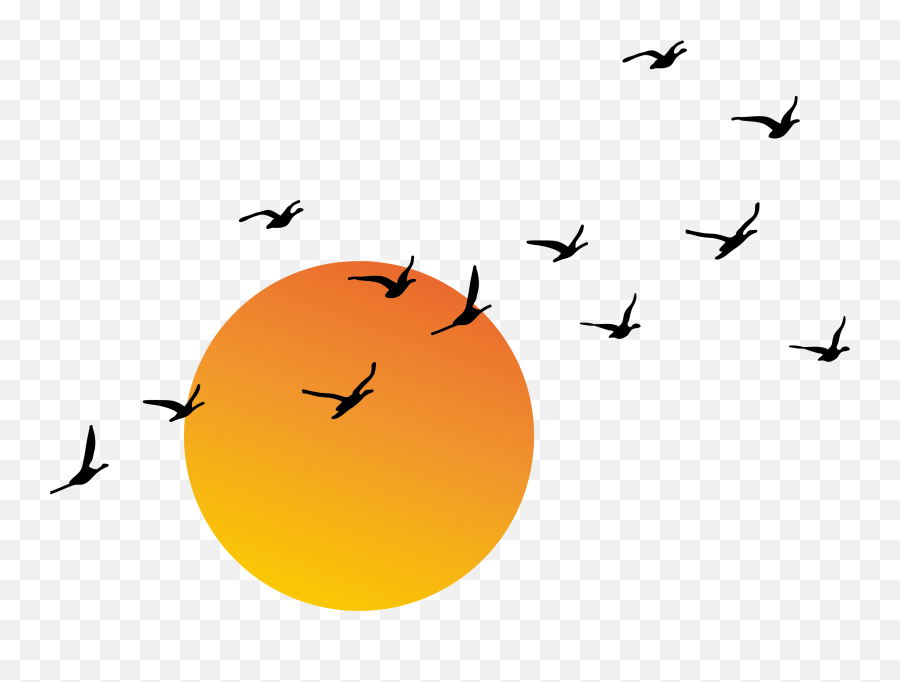 Sun Sunrise Sunset Sunny Sunlight - Radha Soami Good Morning Emoji,Sunset Bird Emoji
