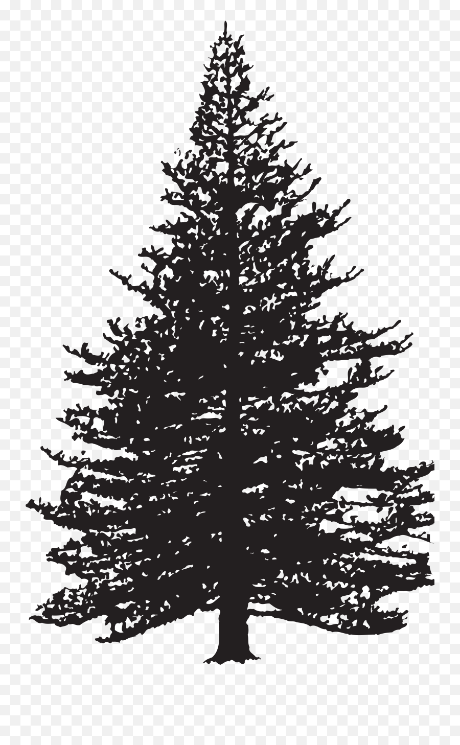 Clip Art Fir Drawing Pine Image - Silhouette Pine Tree Clipart Emoji,Pine Tree Emoji
