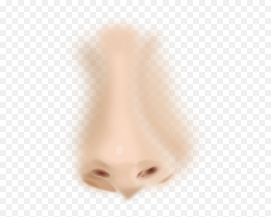 Girl Nose - Transparent Nose Emoji,Smoke Nose Emoji