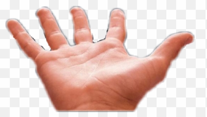 Popular and Trending palm hand Stickers on PicsArt - Hand Emoji
