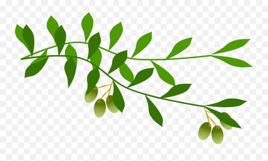 Olive Branch Clipart Png - Clipart Olive Branch Transparent Background Emoji,Olive Branch Emoji