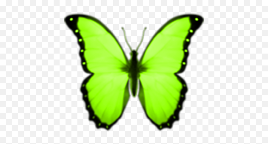 Lime Neongreen Green Sticker By Erika Russell - Butterflies Emoji,Green Emoji Png