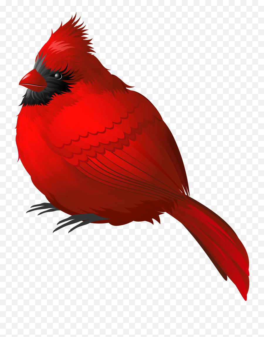 Cardinal Clipart Png - Cardinal Clipart Transparent Emoji,Cardinals Emoji