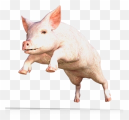 Pig Png Images Cartoon Pig Baby Pig - Pig With Lipstick Is Still A Pig Emoji,Flying Pig Emoji