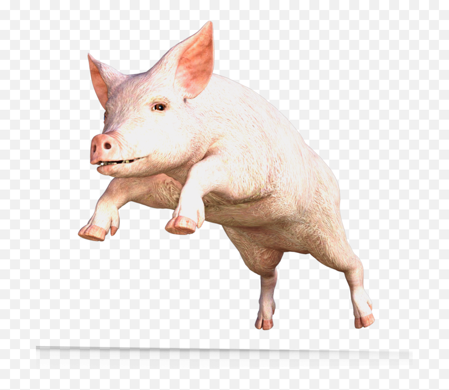Pig Png Images Cartoon Pig Baby Pig - Pig With Lipstick Is Still A Pig Emoji,Flying Pig Emoji