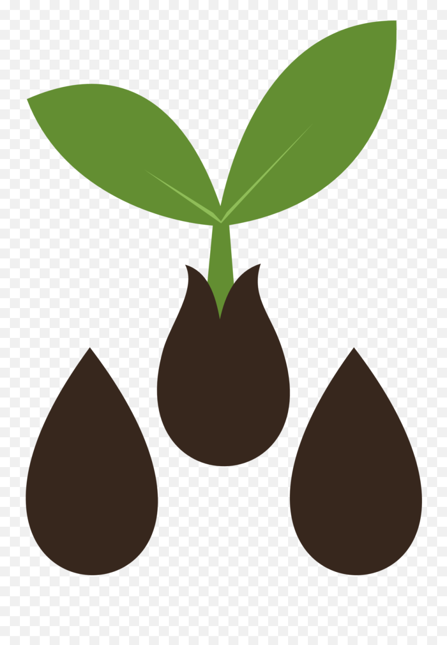 Seedling Clipart Many Plant Seedling - Seed Clipart Transparent Emoji,Bean Sprout Emoji