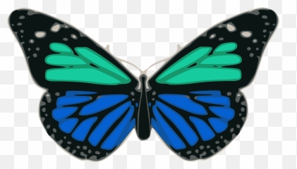 Butterfly Blue Turquoise Colors Wings - Butterfly Emoji,Butterfly Emoji Apple