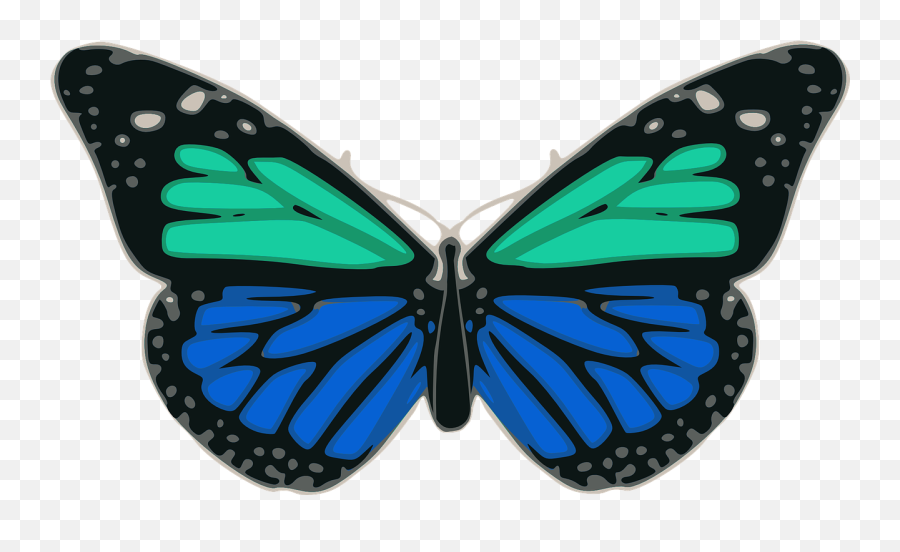 Butterfly Blue Turquoise Colors Wings - Butterfly Emoji,Butterfly Emoji Apple
