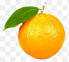 Trending Tangerine Stickers - Sweet Lemon Emoji,Tangerine Emoji