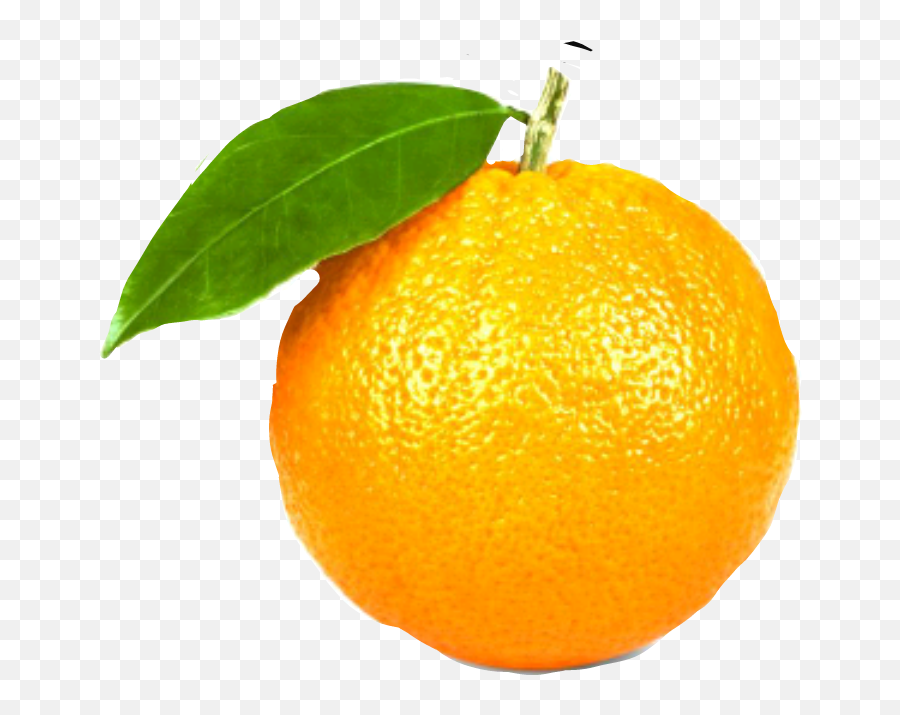 Trending Tangerine Stickers - Sweet Lemon Emoji,Tangerine Emoji