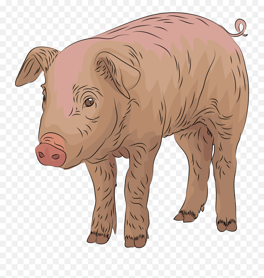 Pig Clipart - Animal Figure Emoji,Flying Pig Emoji