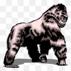 Herbivorous Ape Silverback Gorilla - No Gorillas Allowed Sign Emoji,Ape Emoji