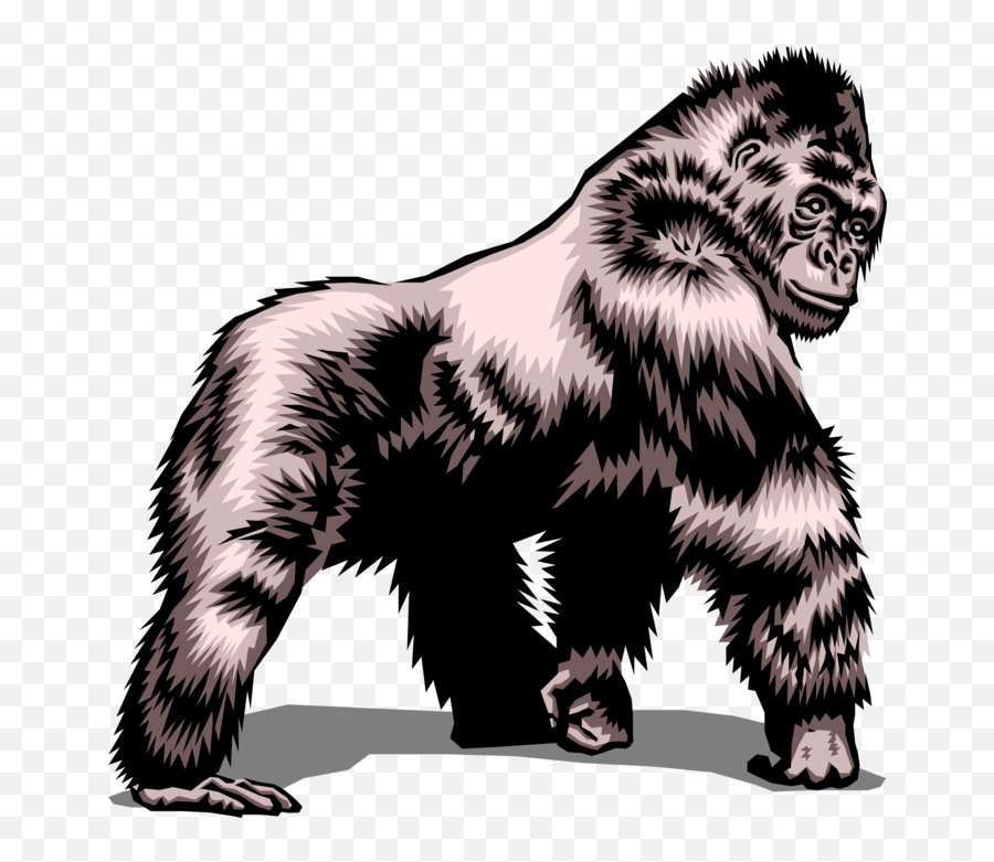 Herbivorous Ape Silverback Gorilla - No Gorillas Allowed Sign Emoji,Ape Emoji