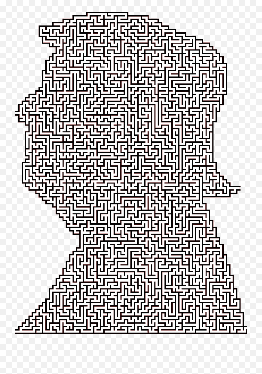 Donald Trump Celebrity Male Man - Cool Maze Transparent Background Emoji,Disney World Emoji