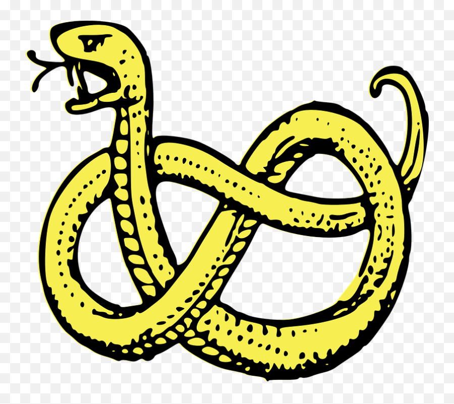 Snake Coiled Serpent Predator - Coat Of Arms Symbols Snake Emoji,Predator Emoji