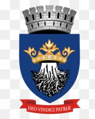 Rou Bv Brasov Coa - Primaria Emoji