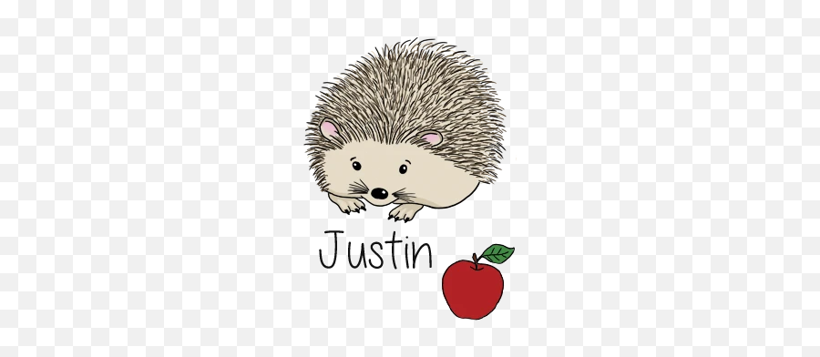 Reflective Pendant - Justin U2013 Dark Aid Domesticated Hedgehog Emoji,Hedgehog Emoji