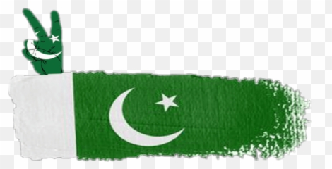 Pakistan Pakistanflag - Artificial Turf Emoji