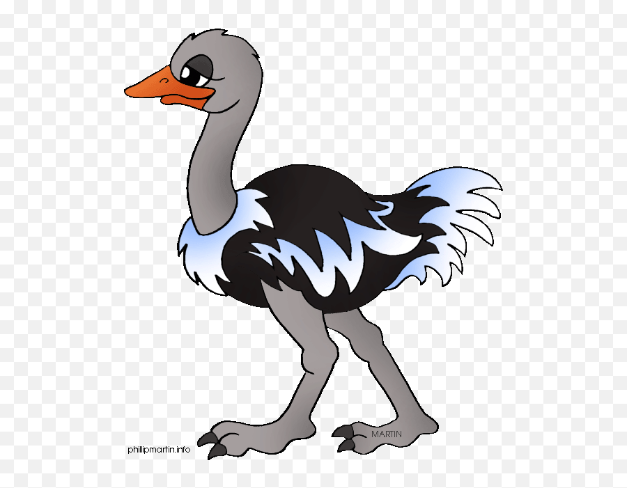 Ostrich Clipart - Cartoon Picture Of Ostrich Png Download Clip Art Ostrich Emoji,Ostrich Emoji