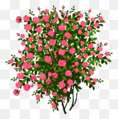 Transparent Flower Bush Clipart - Cartoon Rose Bush Png Emoji,Shrub Emoji