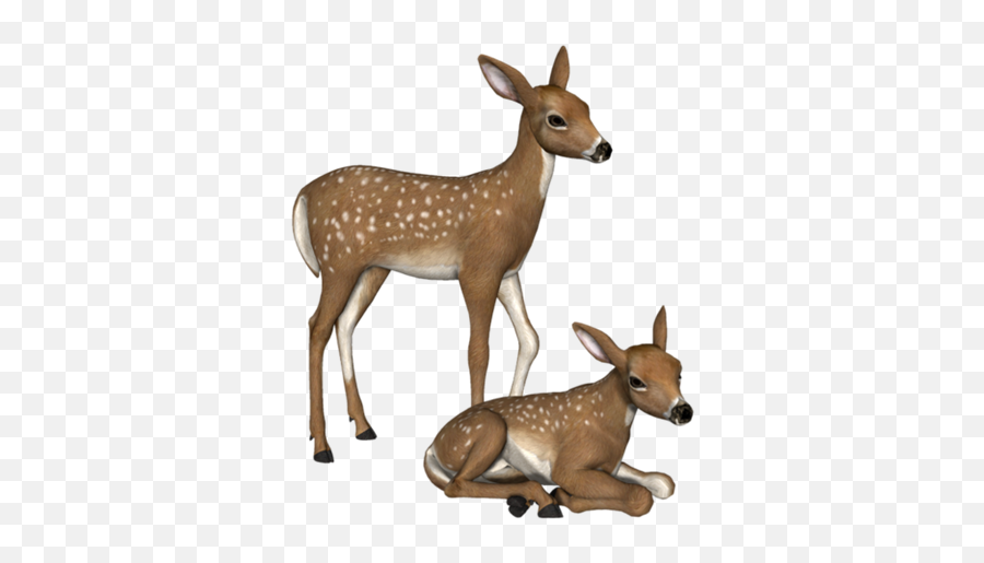 Animals Deer Sticker - Animal Figure Emoji,Deer Hunting Emoji