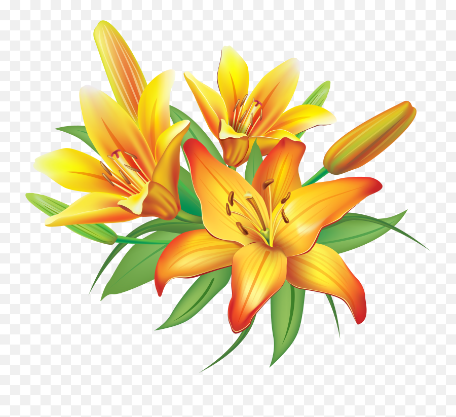 Lily Yellow Lilies Flowers Decoration - Lilies Flower Clipart Emoji,Lily Flower Emoji