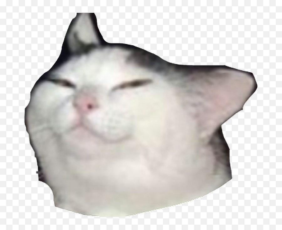 Cat Meme Smug Freetoedit - Sad Cat Meme Transparent Emoji,Smug Cat Emoji