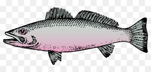 Fish - Clipart Transparent Background Emoji