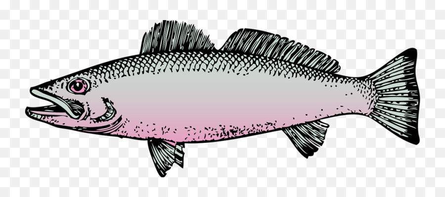 Fish - Fish Clipart Transparent Background Emoji,Live Stream Emoji