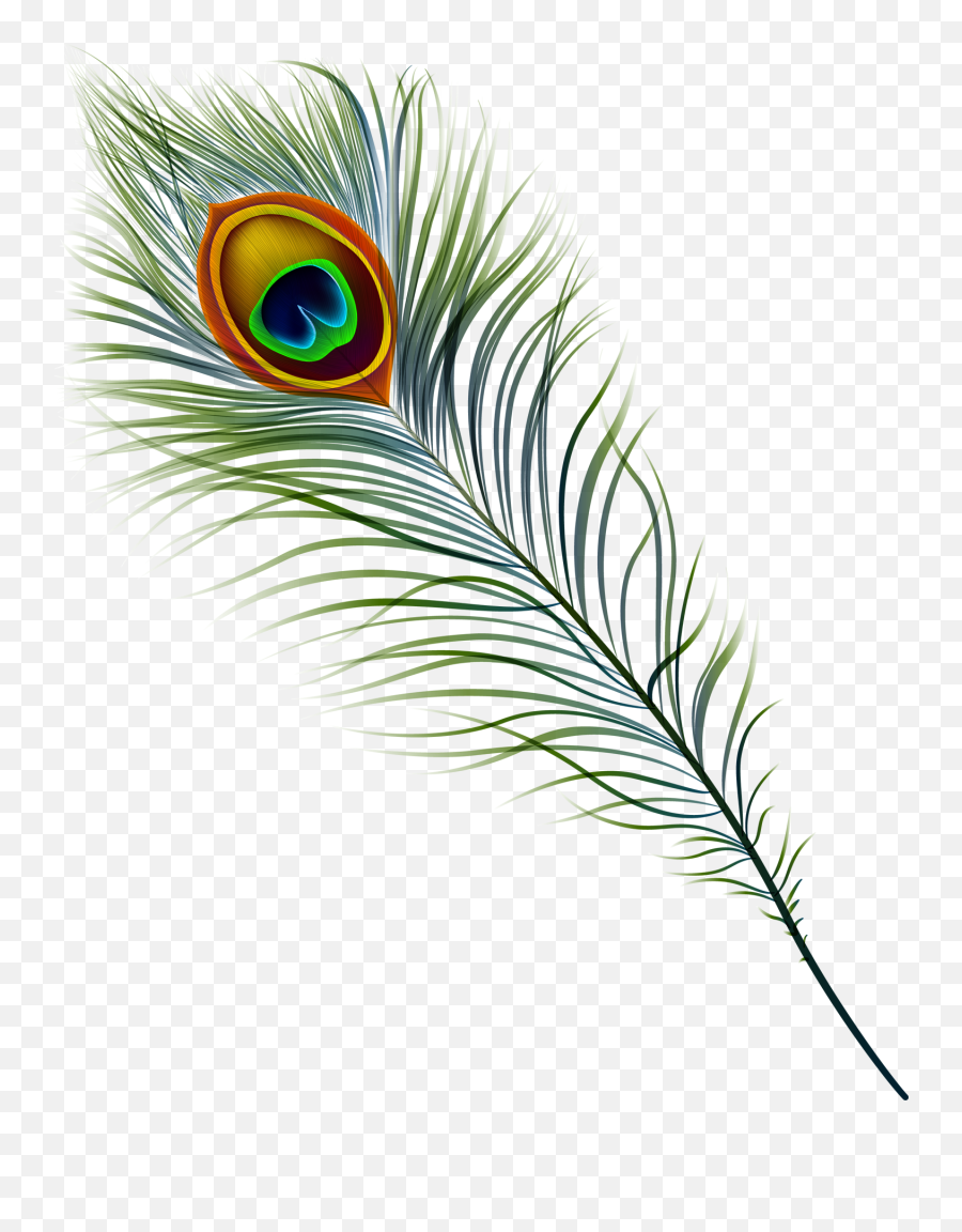Peacock Feather Clipart - Peacock Feather Mural Painting Emoji,Peacock Emoji